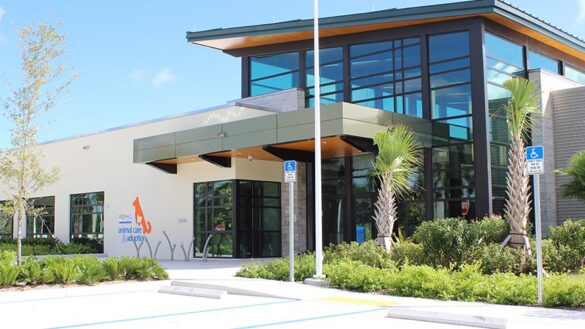 Broward Animal Care