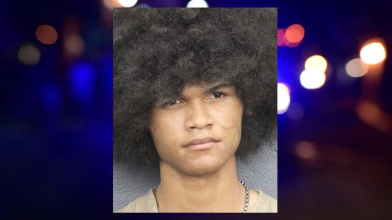 Teen Arrested After Bringing Loaded Gun And Knife To SunEd High School ...