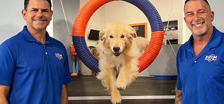 Zoom Room’s Grand Opening Unleashes a New Era of Dog Training Fun