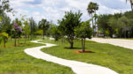 Margate Median Trees