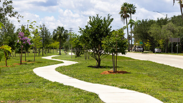 Margate Median Trees