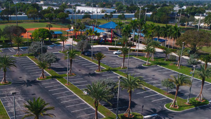 Margate Honors Philanthropist for $200K Donation of Palm Trees to Beautify City Spaces