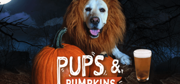 World of Beer Hosts its Annual Pups and Pumpkins Brunch in Coconut Creek