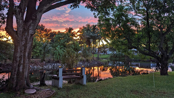 WINNER Janette Ortiz Vega Window to the Sky 2